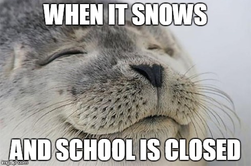 Satisfied Seal Meme | WHEN IT SNOWS AND SCHOOL IS CLOSED | image tagged in memes,satisfied seal | made w/ Imgflip meme maker