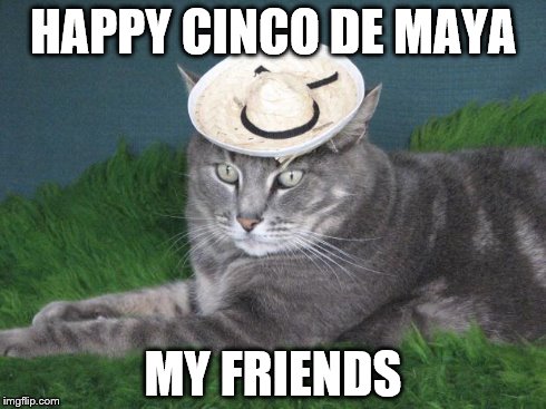 HAPPY CINCO DE MAYA MY FRIENDS | image tagged in cinco de maya | made w/ Imgflip meme maker