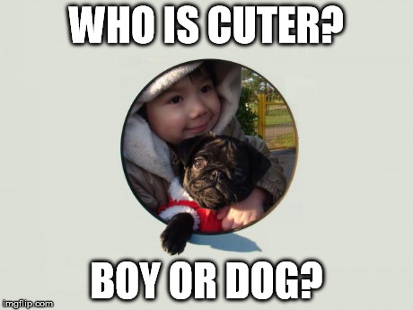 WHO IS CUTER? BOY OR DOG? | image tagged in boy and dog | made w/ Imgflip meme maker