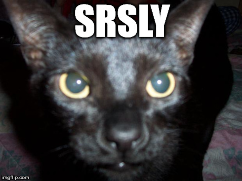 srsly byron the cat | SRSLY | image tagged in srsly byron the cat | made w/ Imgflip meme maker