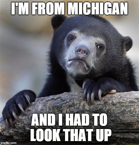 Confession Bear Meme | I'M FROM MICHIGAN AND I HAD TO LOOK THAT UP | image tagged in memes,confession bear | made w/ Imgflip meme maker