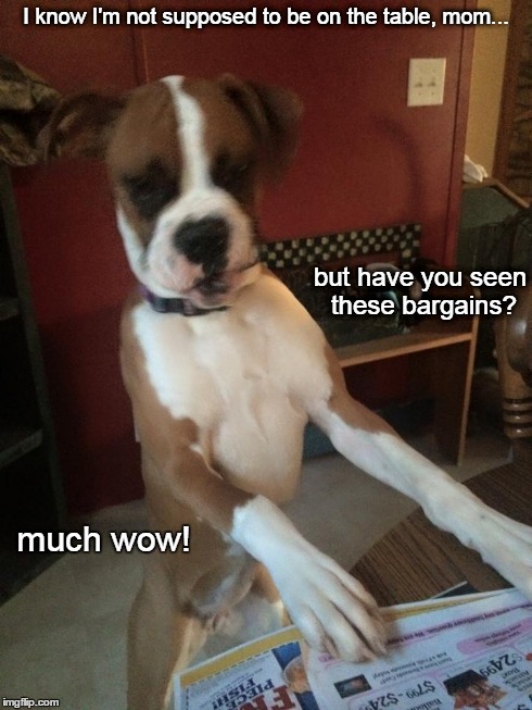 Table Boxing | I know I'm not supposed to be on the table, mom... but have you seen these bargains? much wow! | image tagged in boxer,dog,doge,funny,memes | made w/ Imgflip meme maker