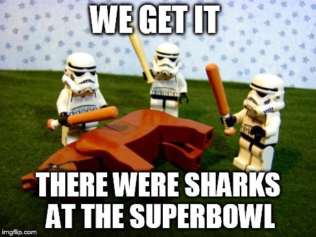 dead horse | WE GET IT THERE WERE SHARKS AT THE SUPERBOWL | image tagged in dead horse | made w/ Imgflip meme maker