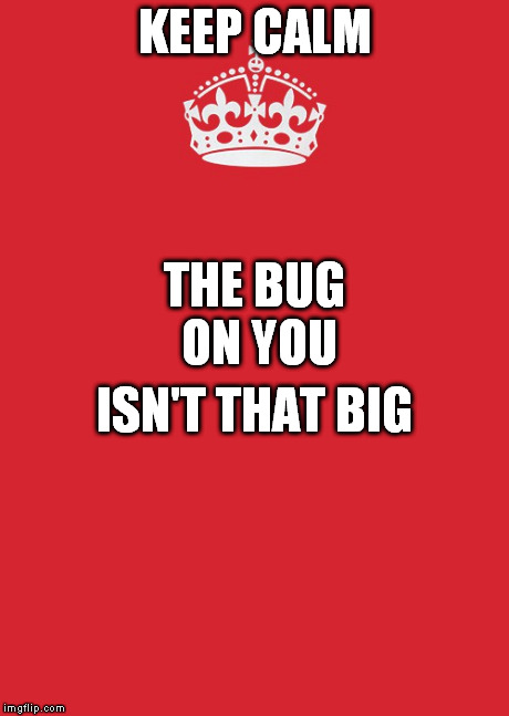 kinda | KEEP CALM THE BUG ON YOU ISN'T THAT BIG | image tagged in memes,keep calm and carry on red | made w/ Imgflip meme maker