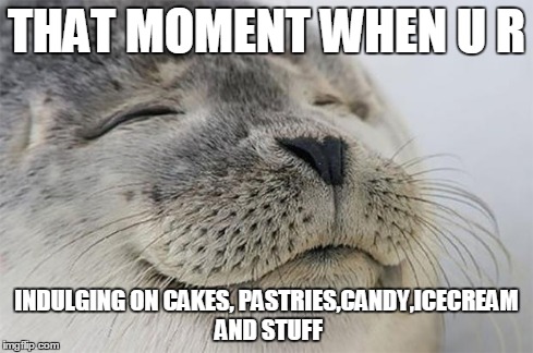 Satisfied Seal Meme | THAT MOMENT WHEN U R INDULGING ON CAKES, PASTRIES,CANDY,ICECREAM AND STUFF | image tagged in memes,satisfied seal | made w/ Imgflip meme maker