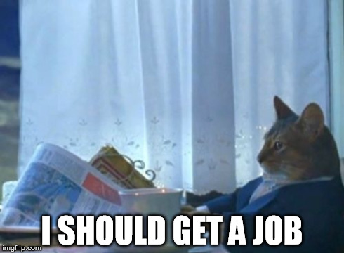 Realizing that I have no work experience to put on my resume for college. | I SHOULD GET A JOB | image tagged in memes,i should buy a boat cat | made w/ Imgflip meme maker