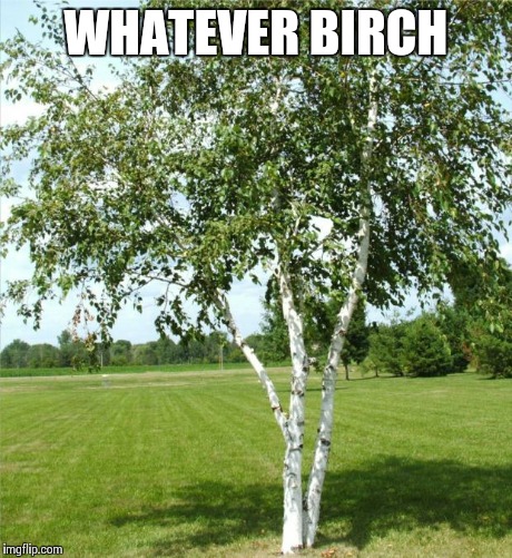 Whatever birch | WHATEVER BIRCH | image tagged in whatever | made w/ Imgflip meme maker