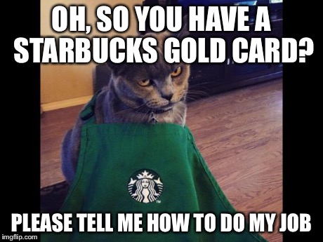 OH, SO YOU HAVE A STARBUCKS GOLD CARD? PLEASE TELL ME HOW TO DO MY JOB | image tagged in barista cat | made w/ Imgflip meme maker