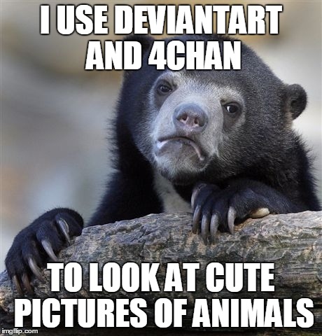 Confession Bear | I USE DEVIANTART AND 4CHAN TO LOOK AT CUTE PICTURES OF ANIMALS | image tagged in memes,confession bear | made w/ Imgflip meme maker