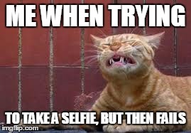 It's sad but true | ME WHEN TRYING TO TAKE A SELFIE, BUT THEN FAILS | image tagged in funny cat | made w/ Imgflip meme maker