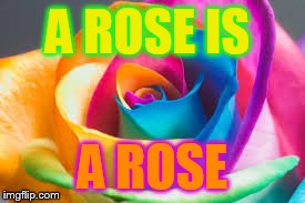 Rainbow Rose | A ROSE IS A ROSE | image tagged in rose,rainbow | made w/ Imgflip meme maker