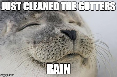 Satisfied Seal | JUST CLEANED THE GUTTERS RAIN | image tagged in memes,satisfied seal | made w/ Imgflip meme maker