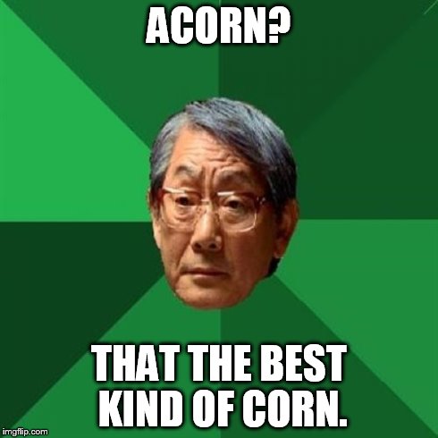 High Expectations Asian Father | ACORN? THAT THE BEST KIND OF CORN. | image tagged in memes,high expectations asian father | made w/ Imgflip meme maker