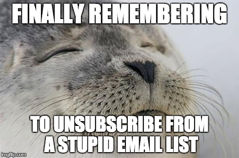 Satisfied Seal | FINALLY REMEMBERING TO UNSUBSCRIBE FROM A STUPID EMAIL LIST | image tagged in memes,satisfied seal,AdviceAnimals | made w/ Imgflip meme maker