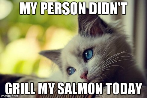 First World Problems Cat | MY PERSON DIDN'T GRILL MY SALMON TODAY | image tagged in memes,first world problems cat | made w/ Imgflip meme maker