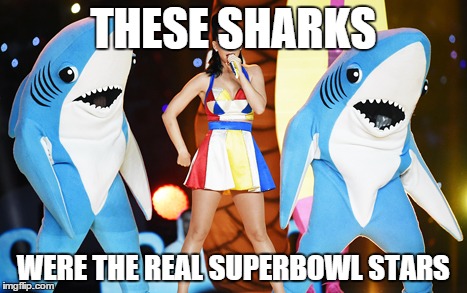 I mean, really. | THESE SHARKS WERE THE REAL SUPERBOWL STARS | image tagged in sharks,funny,superbowl,lol | made w/ Imgflip meme maker