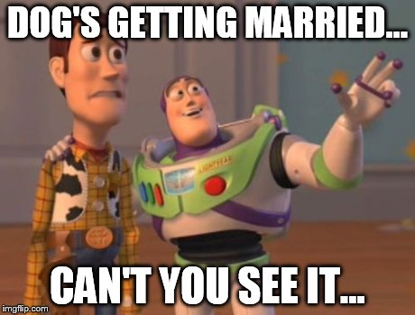 X, X Everywhere Meme | DOG'S GETTING MARRIED... CAN'T YOU SEE IT... | image tagged in memes,x x everywhere | made w/ Imgflip meme maker