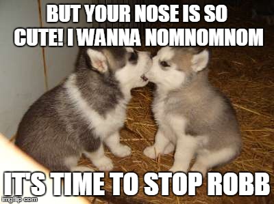 Cute Puppies | BUT YOUR NOSE IS SO CUTE! I WANNA NOMNOMNOM IT'S TIME TO STOP ROBB | image tagged in memes,cute puppies | made w/ Imgflip meme maker