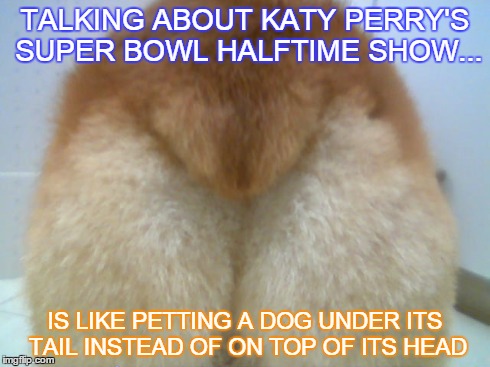 TALKING ABOUT KATY PERRY'S SUPER BOWL HALFTIME SHOW... IS LIKE PETTING A DOG UNDER ITS TAIL INSTEAD OF ON TOP OF ITS HEAD | image tagged in dog,super bowl,halftime,katy perry,funny memes | made w/ Imgflip meme maker