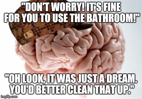 Scumbag Braib | "DON'T WORRY! IT'S FINE FOR YOU TO USE THE BATHROOM!" "OH LOOK, IT WAS JUST A DREAM. YOU'D BETTER CLEAN THAT UP." | image tagged in memes,scumbag brain,funny,funny memes | made w/ Imgflip meme maker