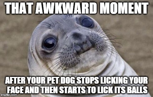 Awkward Moment Sealion | THAT AWKWARD MOMENT AFTER YOUR PET DOG STOPS LICKING YOUR FACE AND THEN STARTS TO LICK ITS BALLS | image tagged in memes,awkward moment sealion | made w/ Imgflip meme maker