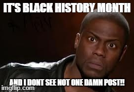 Kevin Hart | IT'S BLACK HISTORY MONTH AND I DONT SEE NOT ONE DAMN POST!! | image tagged in memes,kevin hart the hell | made w/ Imgflip meme maker