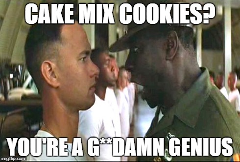 GUUUUUMMMMPPPP | CAKE MIX COOKIES? YOU'RE A G**DAMN GENIUS | image tagged in forrest gump | made w/ Imgflip meme maker