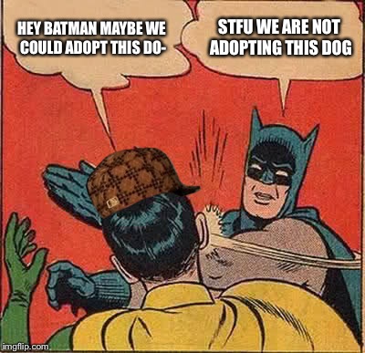 Batman Slapping Robin Meme | HEY BATMAN MAYBE WE COULD ADOPT THIS DO- STFU WE ARE NOT ADOPTING THIS DOG | image tagged in memes,batman slapping robin,scumbag | made w/ Imgflip meme maker