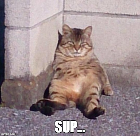 SUP... | image tagged in i'm just chillin' | made w/ Imgflip meme maker