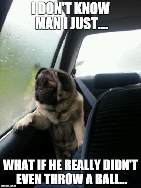 Introspective Pug | I DON'T KNOW MAN I JUST.... WHAT IF HE REALLY DIDN'T EVEN THROW A BALL... | image tagged in introspective pug | made w/ Imgflip meme maker