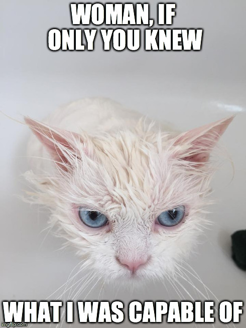 Grumpy Bond | WOMAN, IF ONLY YOU KNEW WHAT I WAS CAPABLE OF | image tagged in grumpy cat,funny memes,grumpy | made w/ Imgflip meme maker