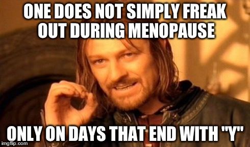 One Does Not Simply Meme | ONE DOES NOT SIMPLY FREAK OUT DURING MENOPAUSE ONLY ON DAYS THAT END WITH "Y" | image tagged in memes,one does not simply | made w/ Imgflip meme maker