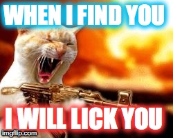 lol | WHEN I FIND YOU I WILL LICK YOU | image tagged in lol,cats | made w/ Imgflip meme maker