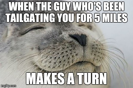 Satisfied Seal | WHEN THE GUY WHO'S BEEN TAILGATING YOU FOR 5 MILES MAKES A TURN | image tagged in memes,satisfied seal | made w/ Imgflip meme maker