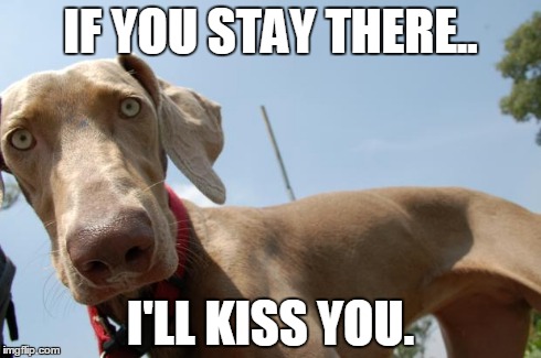 Hello! | IF YOU STAY THERE.. I'LL KISS YOU. | image tagged in hello | made w/ Imgflip meme maker