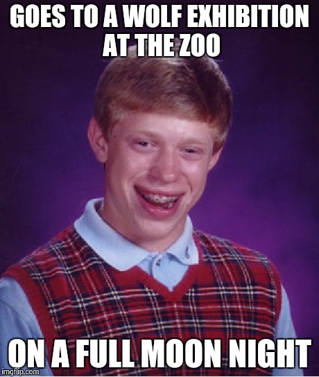 This is what is called "being at the wrong place at the wrong time" | GOES TO A WOLF EXHIBITION AT THE ZOO ON A FULL MOON NIGHT | image tagged in memes,ghost,funny,zoo,lol,bad luck brian | made w/ Imgflip meme maker