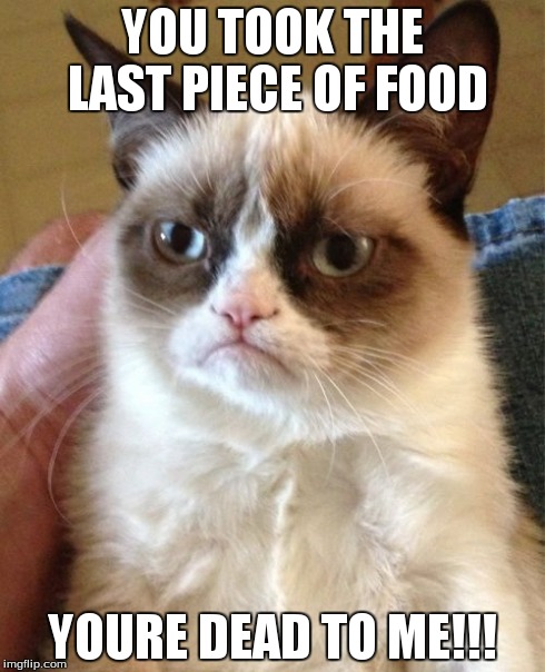 Grumpy Cat | YOU TOOK THE LAST PIECE OF FOOD YOURE DEAD TO ME!!! | image tagged in memes,grumpy cat | made w/ Imgflip meme maker