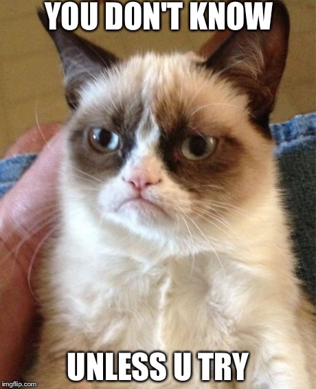 Grumpy Cat Meme | YOU DON'T KNOW UNLESS U TRY | image tagged in memes,grumpy cat | made w/ Imgflip meme maker