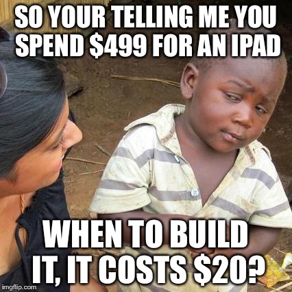I mean seriously what the heck is happening | SO YOUR TELLING ME YOU SPEND $499 FOR AN IPAD WHEN TO BUILD IT, IT COSTS $20? | image tagged in memes,third world skeptical kid | made w/ Imgflip meme maker