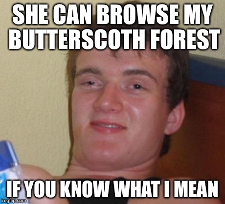 10 Guy Meme | SHE CAN BROWSE MY BUTTERSCOTH FOREST IF YOU KNOW WHAT I MEAN | image tagged in memes,10 guy | made w/ Imgflip meme maker