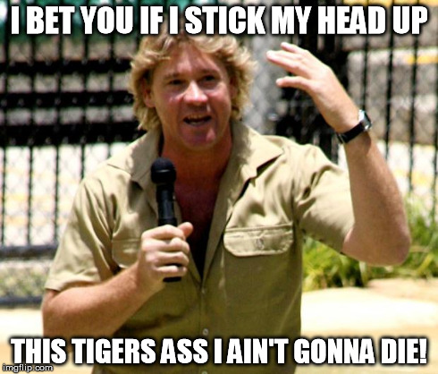 steve irwin | I BET YOU IF I STICK MY HEAD UP THIS TIGERS ASS I AIN'T GONNA DIE! | image tagged in steve irwin | made w/ Imgflip meme maker