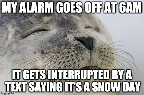 Satisfied Seal | MY ALARM GOES OFF AT 6AM IT GETS INTERRUPTED BY A TEXT SAYING IT'S A SNOW DAY | image tagged in memes,satisfied seal,AdviceAnimals | made w/ Imgflip meme maker
