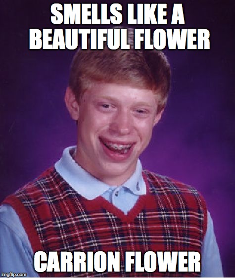 Bad Luck Brian Meme | SMELLS LIKE A BEAUTIFUL FLOWER CARRION FLOWER | image tagged in memes,bad luck brian | made w/ Imgflip meme maker