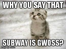 Sad Cat | WHY YOU SAY THAT SUBWAY IS GWOSS? | image tagged in sad cat | made w/ Imgflip meme maker