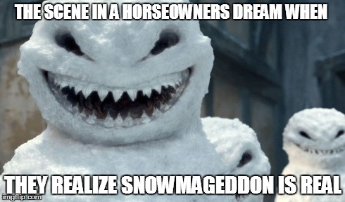 THE SCENE IN A HORSEOWNERS DREAM WHEN THEY REALIZE SNOWMAGEDDON IS REAL | image tagged in horses,snowman | made w/ Imgflip meme maker