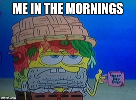 ME IN THE MORNINGS | image tagged in sb | made w/ Imgflip meme maker