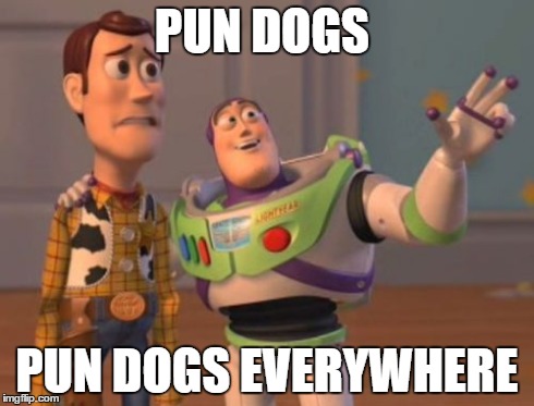 PUN DOGS PUN DOGS EVERYWHERE | image tagged in memes,x x everywhere | made w/ Imgflip meme maker