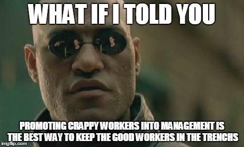 Matrix Morpheus Meme | WHAT IF I TOLD YOU PROMOTING CRAPPY WORKERS INTO MANAGEMENT IS THE BEST WAY TO KEEP THE GOOD WORKERS IN THE TRENCHS | image tagged in memes,matrix morpheus | made w/ Imgflip meme maker
