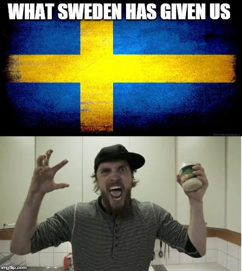 not swedish, but it's my favorite country thanks to this man | WHAT SWEDEN HAS GIVEN US | image tagged in funny | made w/ Imgflip meme maker