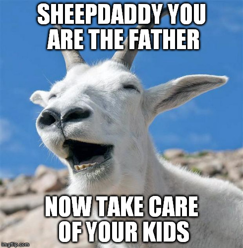Laughing Goat Meme | SHEEPDADDY
YOU ARE THE FATHER NOW TAKE CARE OF YOUR KIDS | image tagged in memes,laughing goat | made w/ Imgflip meme maker